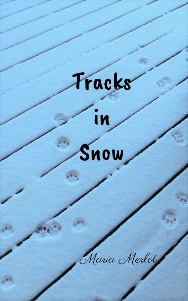 Tracks in Snow